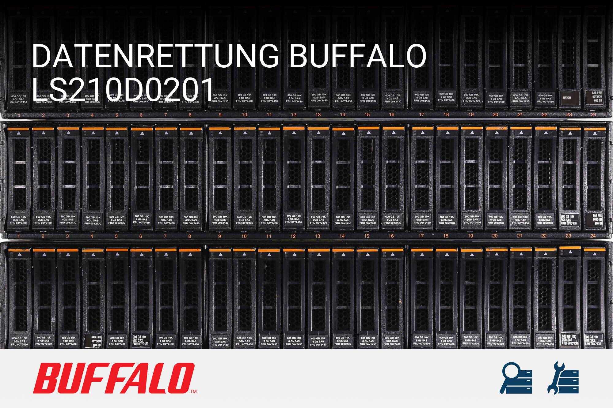 Buffalo LS210D0201