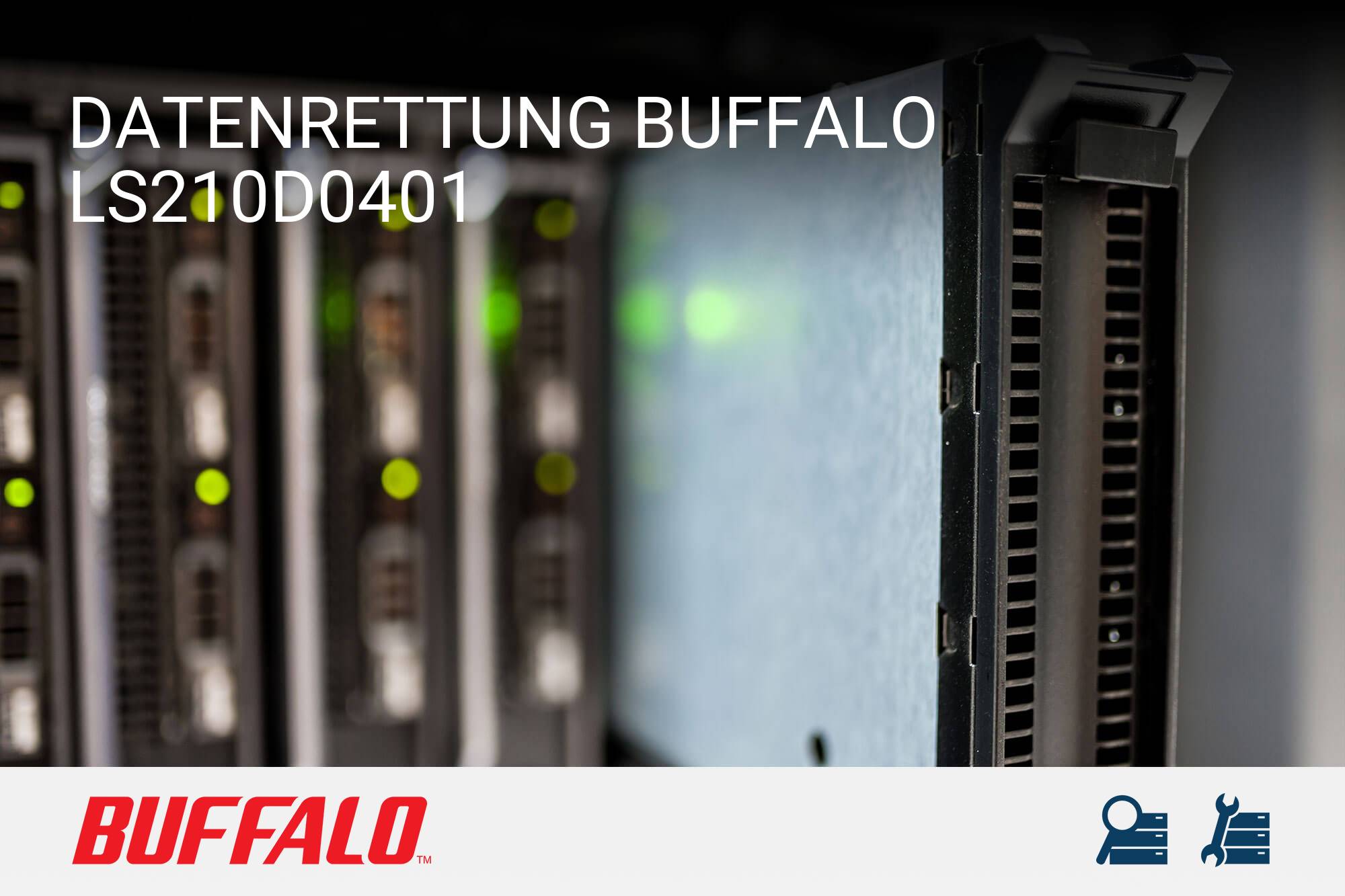 Buffalo LS210D0401