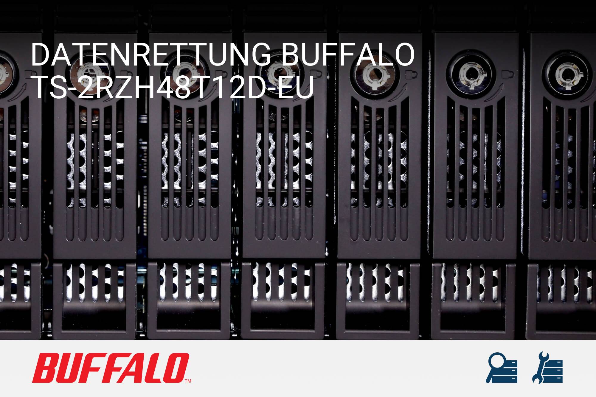 Buffalo TS-2RZH48T12D-EU