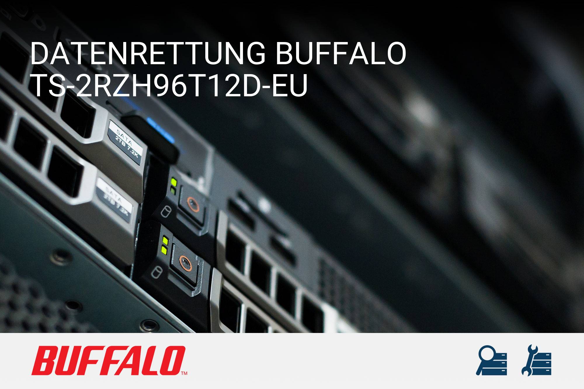 Buffalo TS-2RZH96T12D-EU