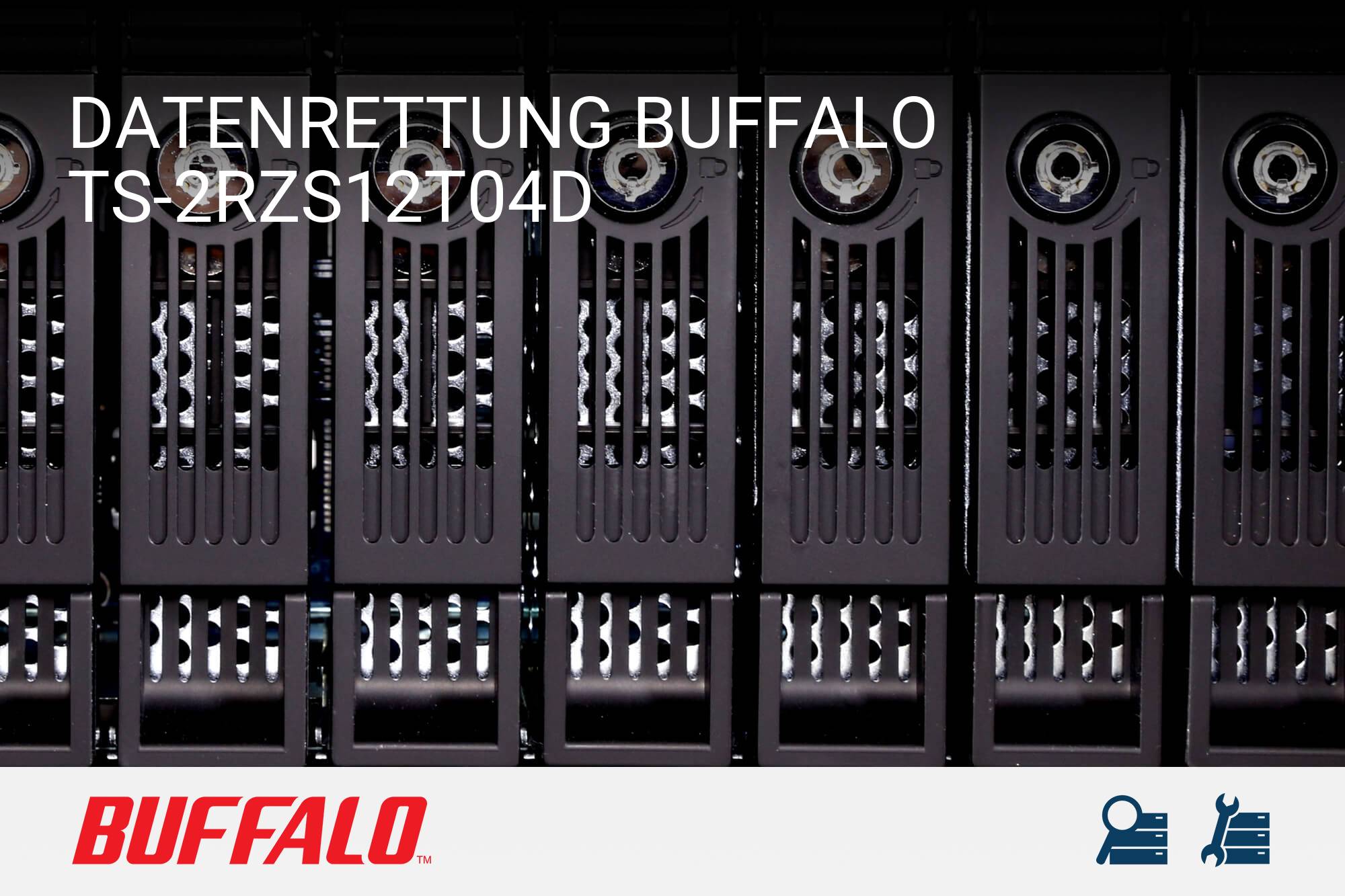 Buffalo TS-2RZS12T04D