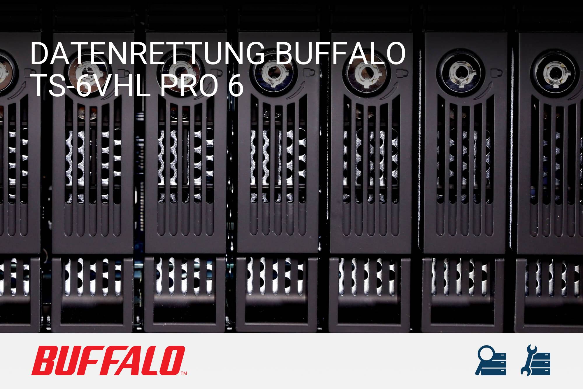Buffalo TS-6VHL Pro 6