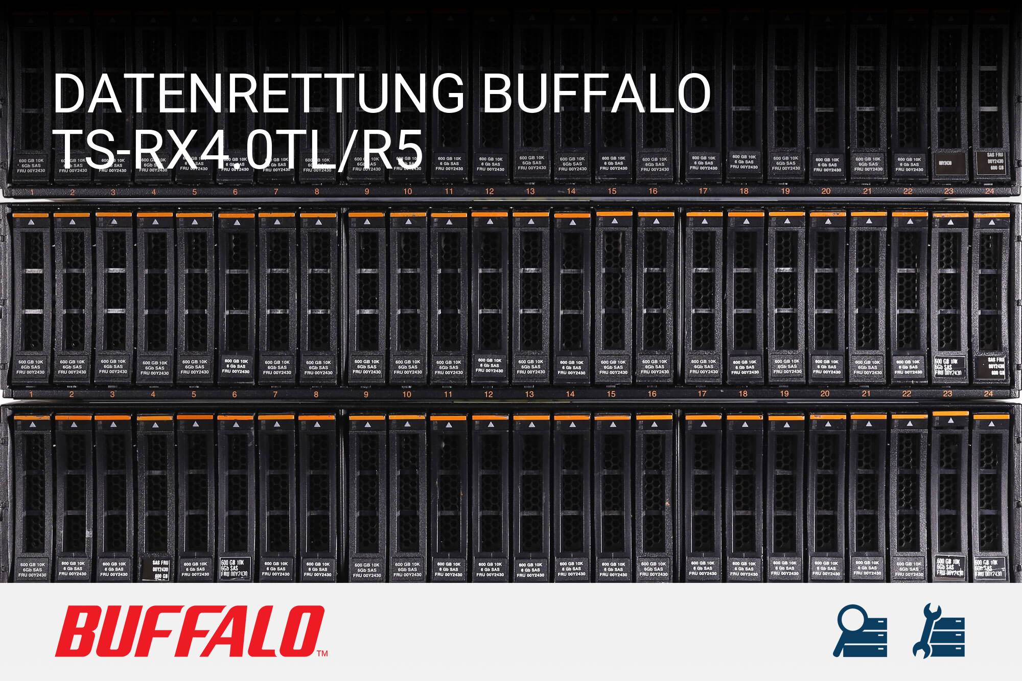 Buffalo TS-RX4.0TL/R5