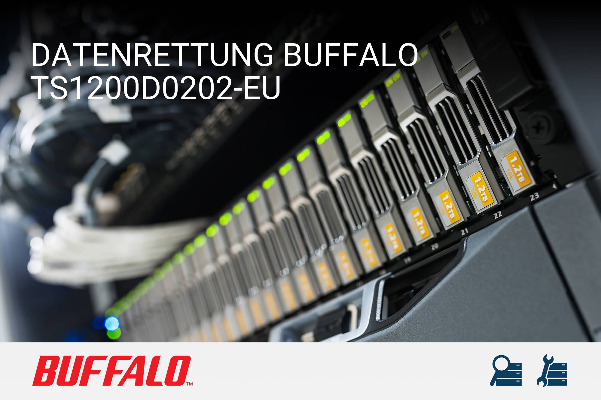 Buffalo TS1200D0202-EU