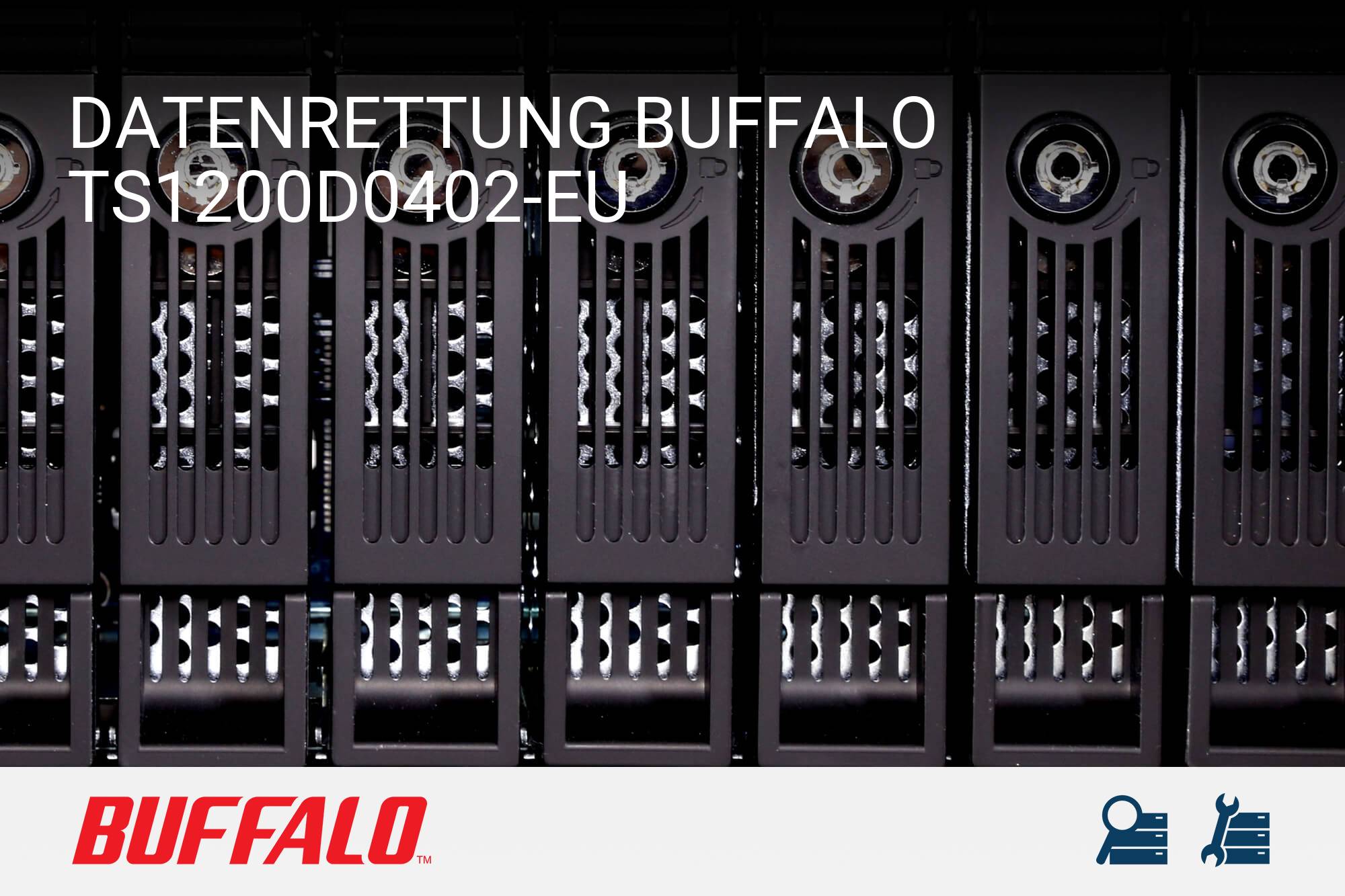 Buffalo TS1200D0402-EU