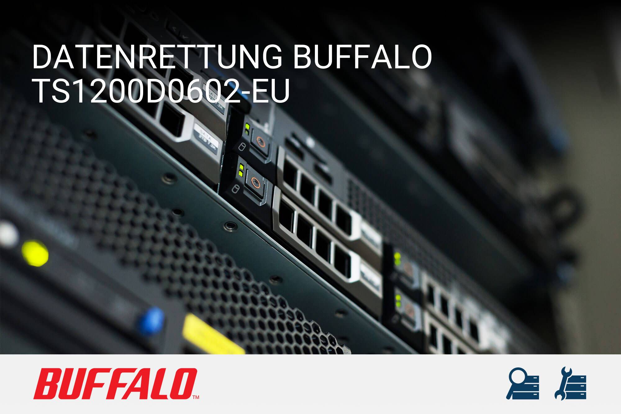 Buffalo TS1200D0602-EU