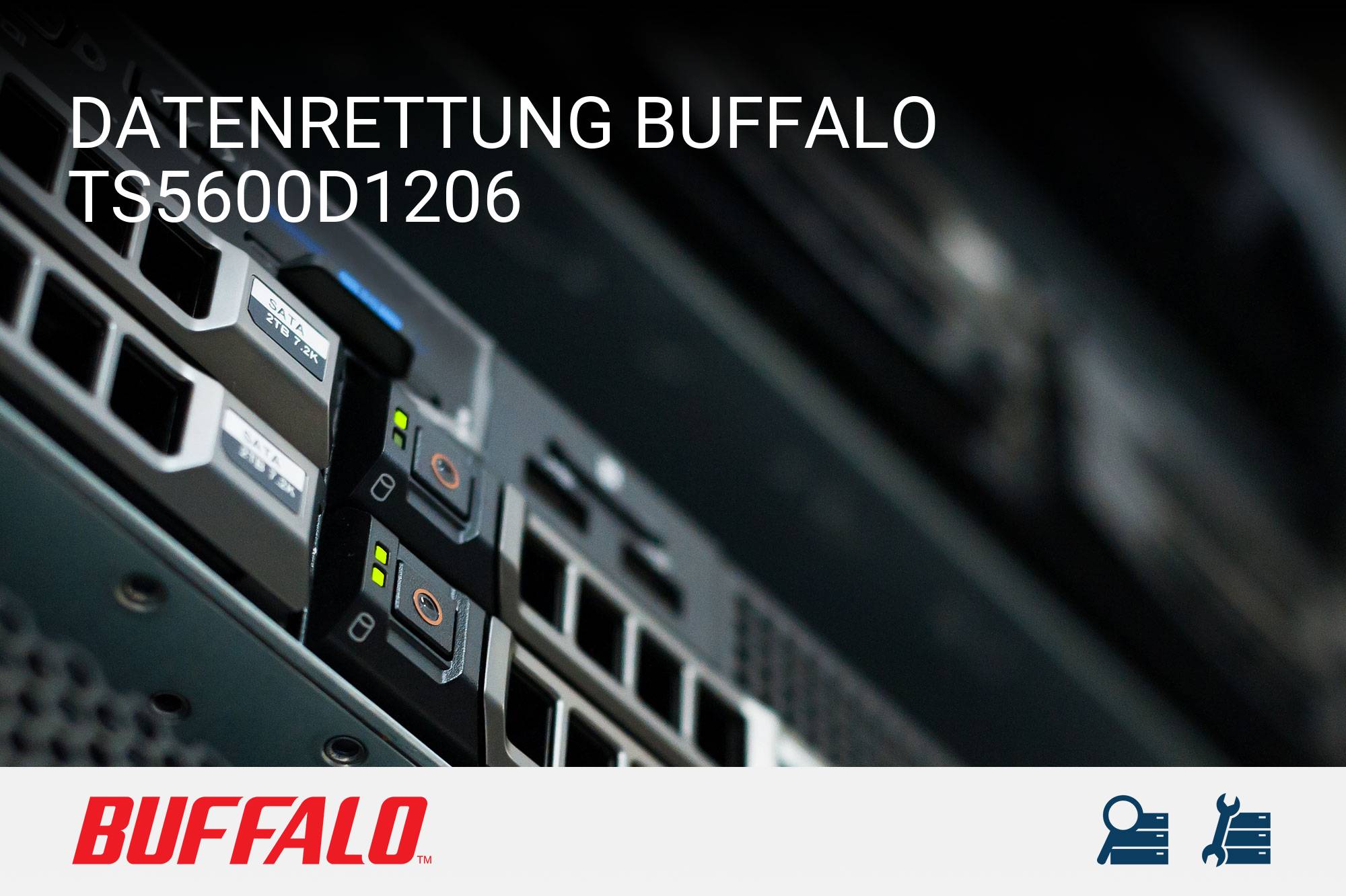 Buffalo TS5600D1206