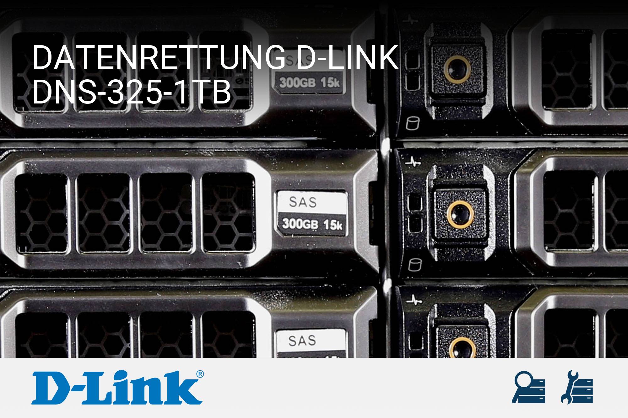 D-Link DNS-325-1TB