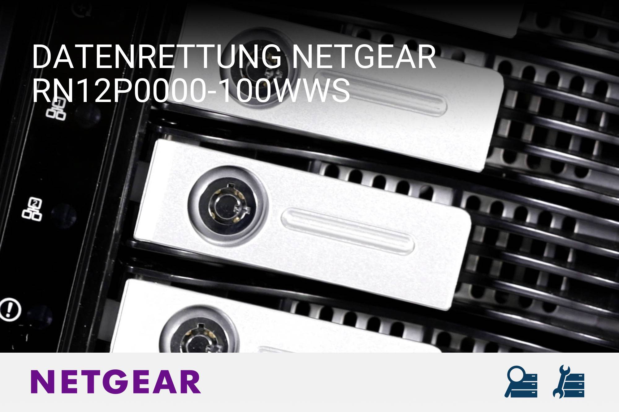 Netgear RN12P0000-100WWS
