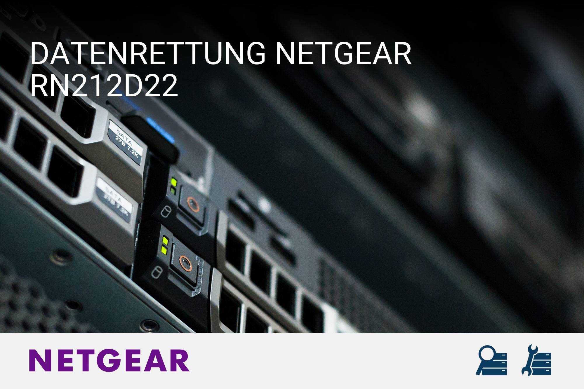 Netgear RN212D22