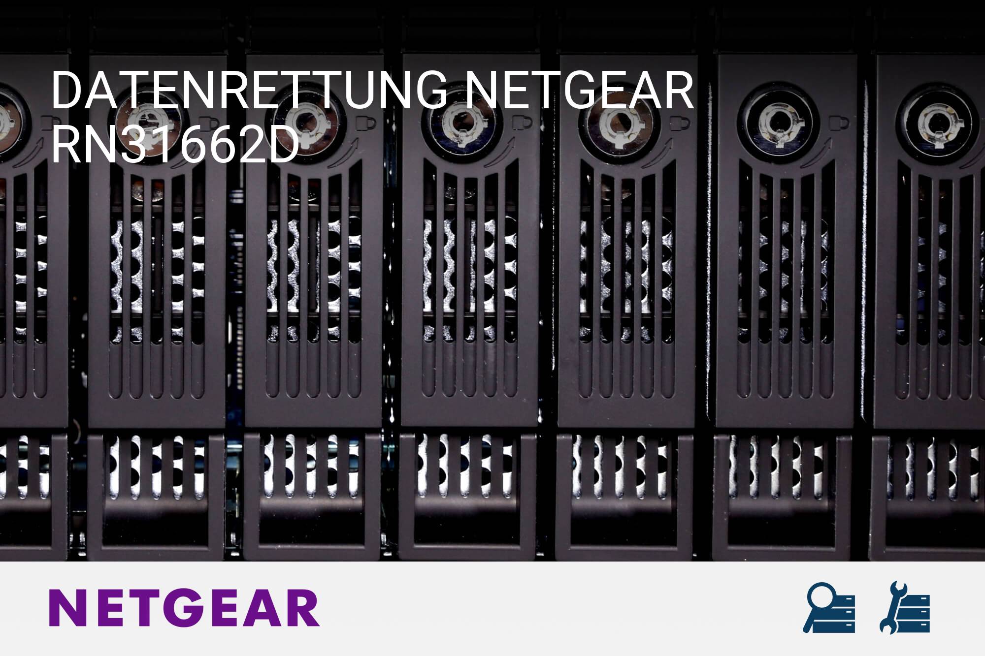 Netgear RN31662D
