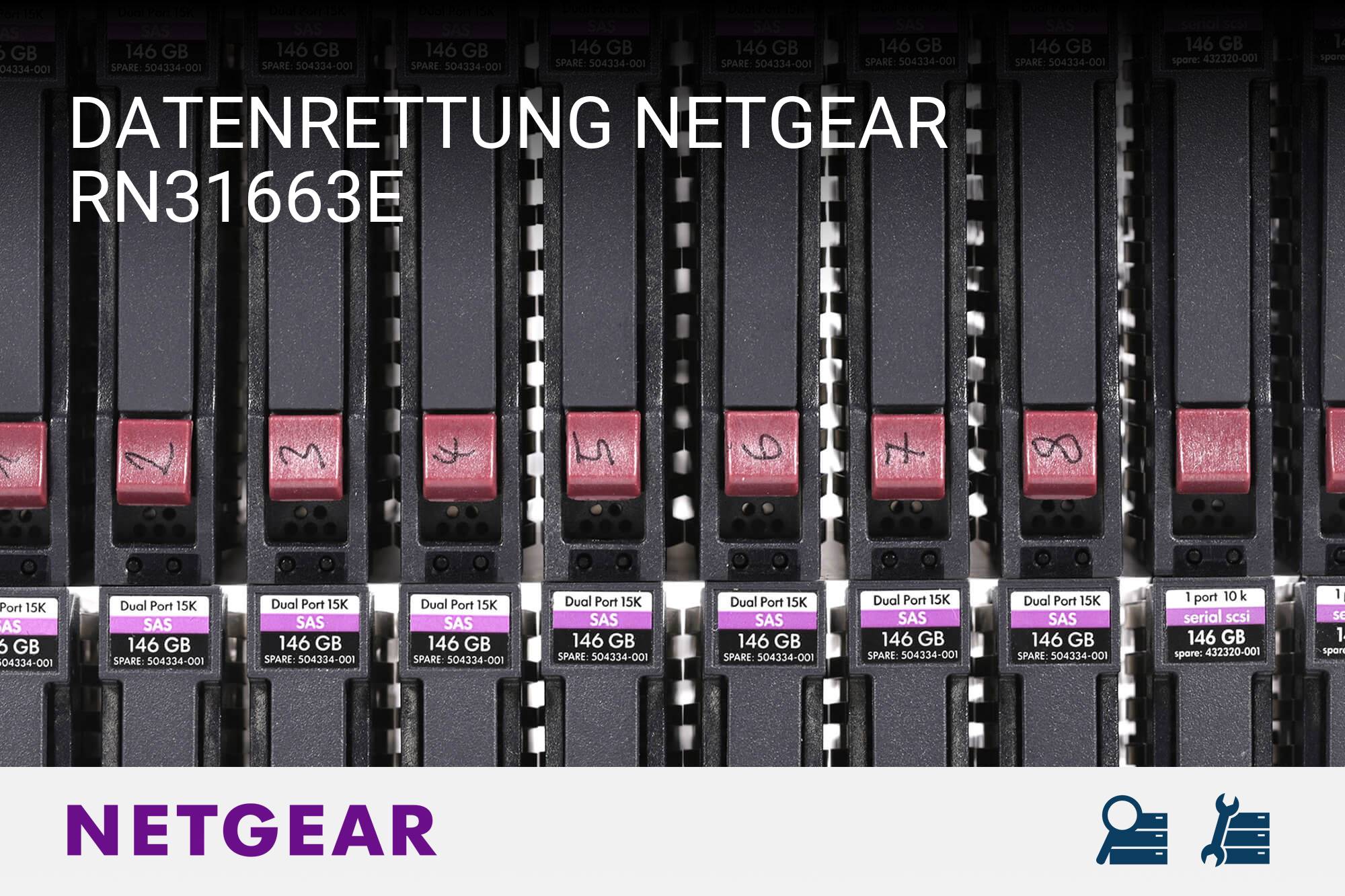 Netgear RN31663E