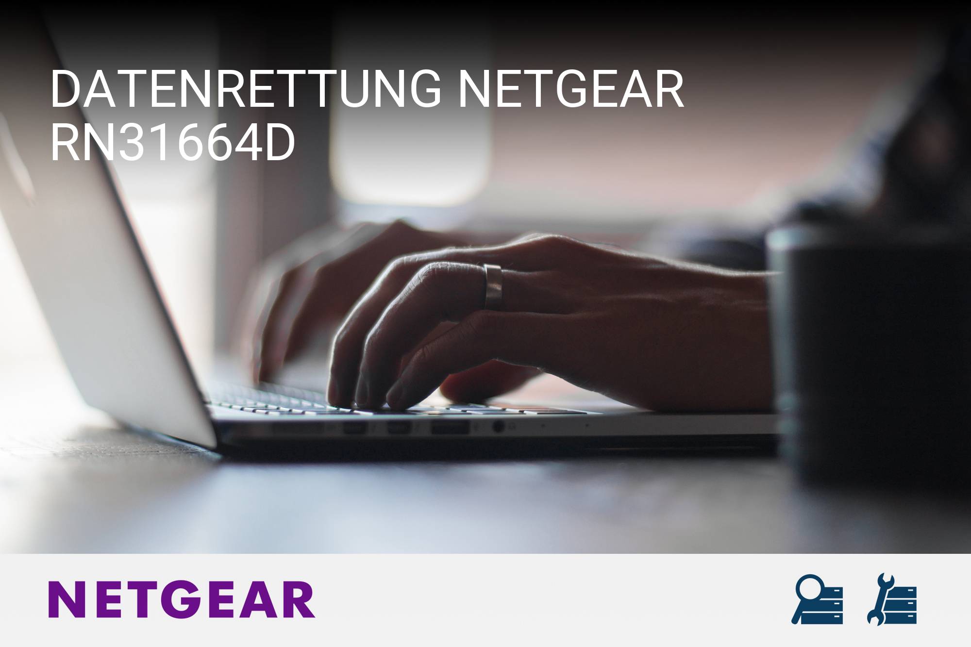 Netgear RN31664D