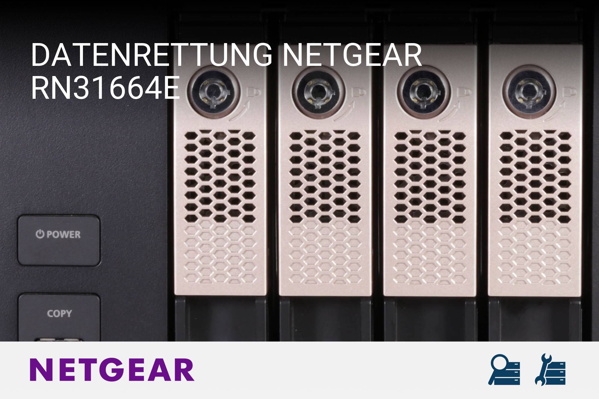 Netgear RN31664E