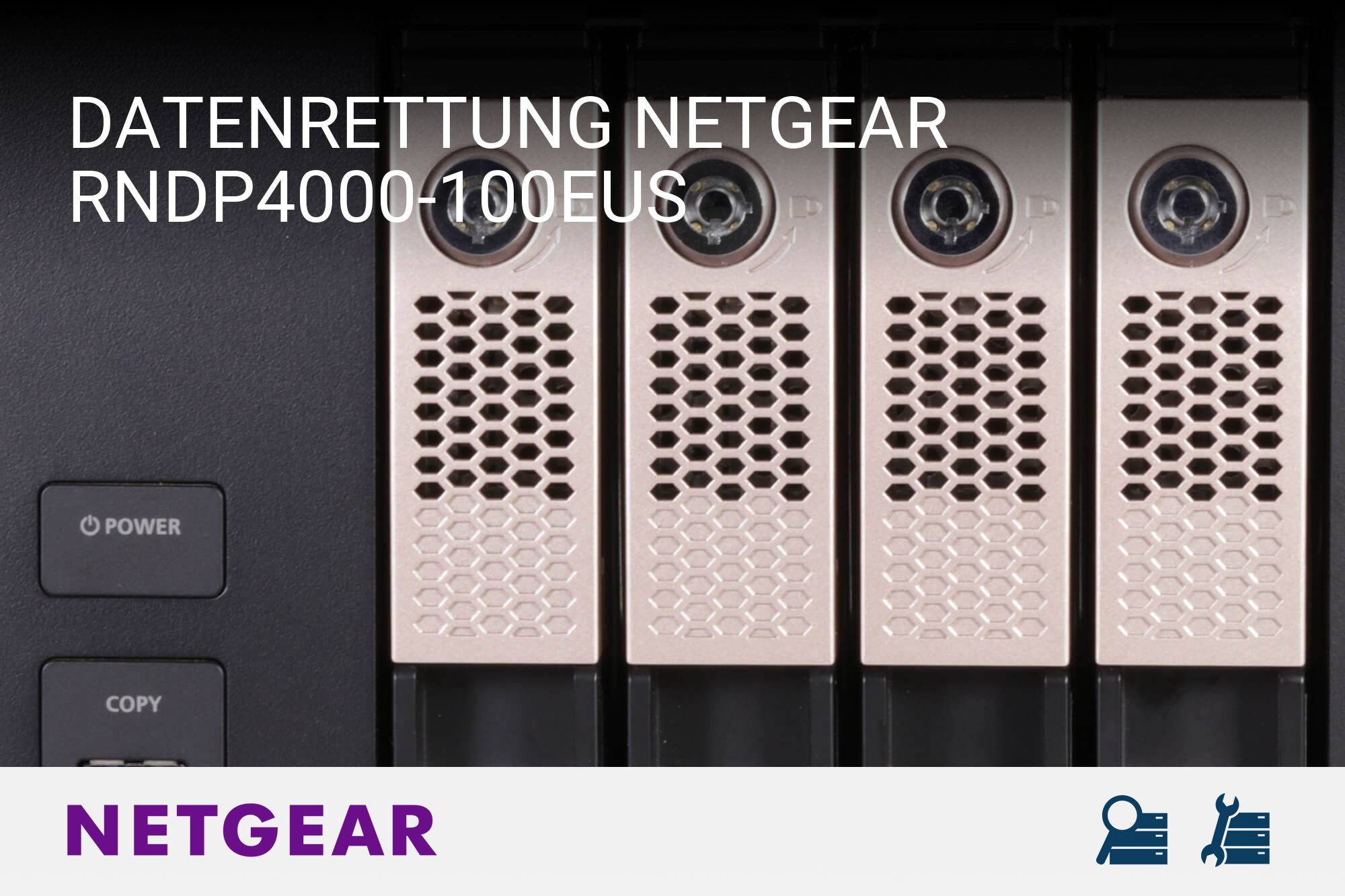 Netgear RNDP4000-100EUS