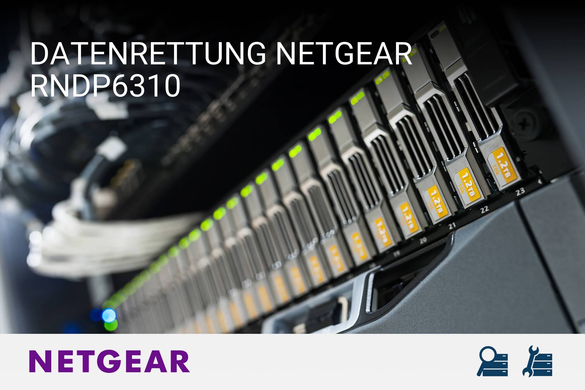 Netgear RNDP6310