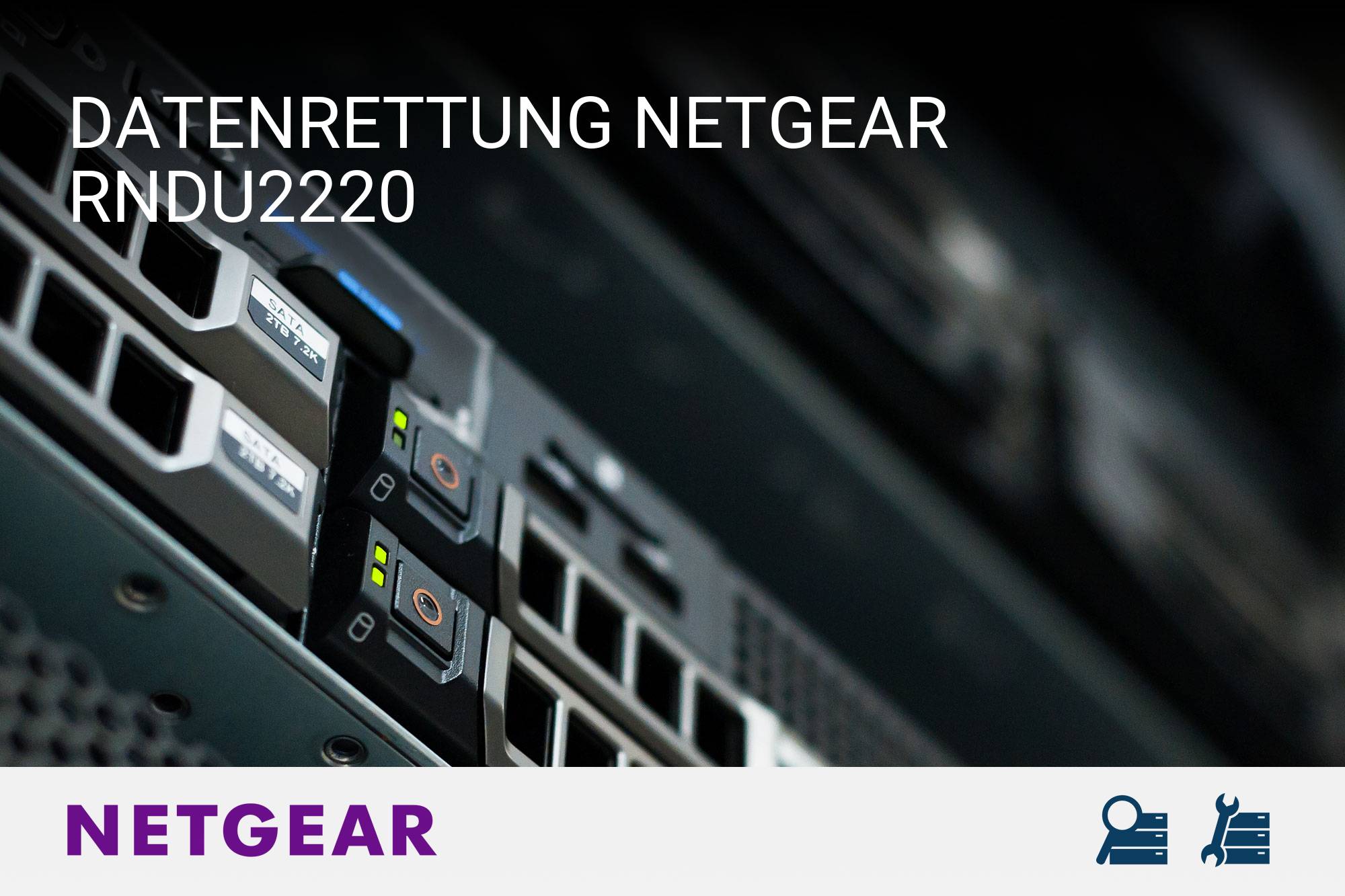 Netgear RNDU2220