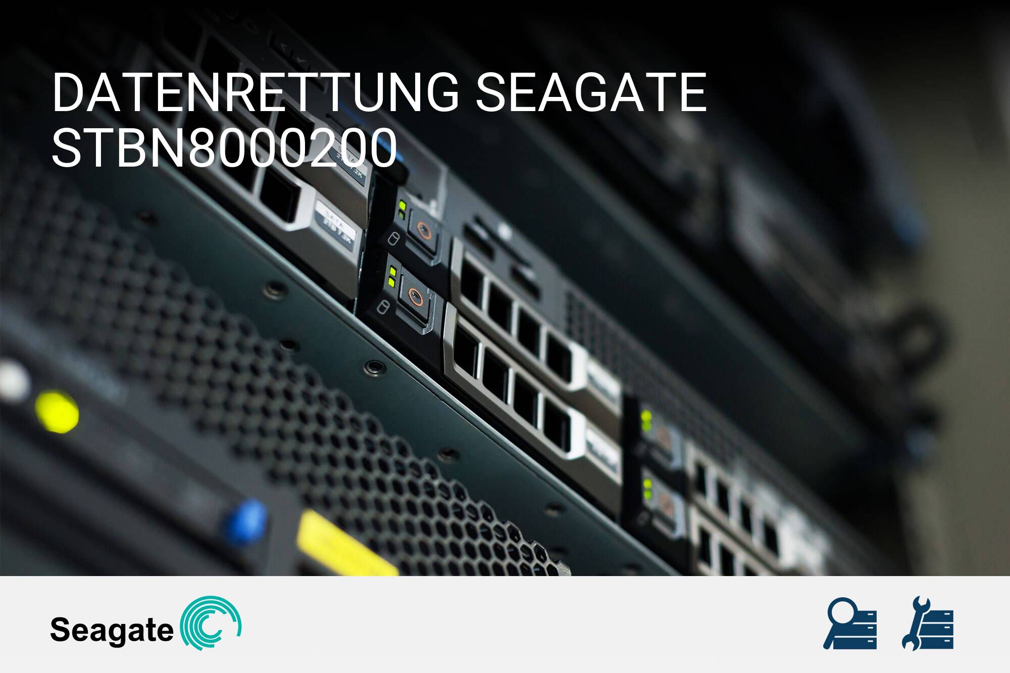 Seagate STBN8000200