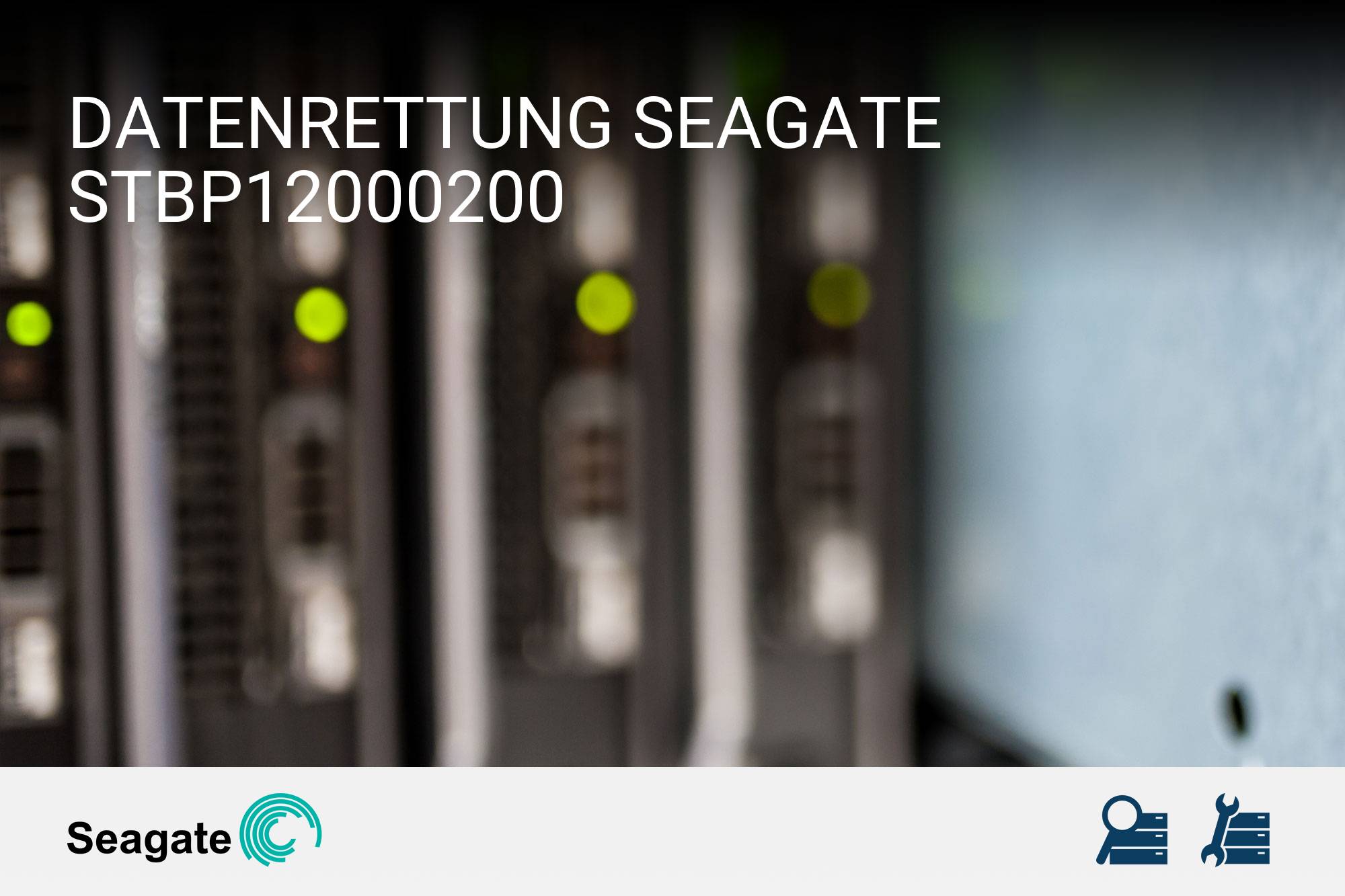 Seagate STBP12000200