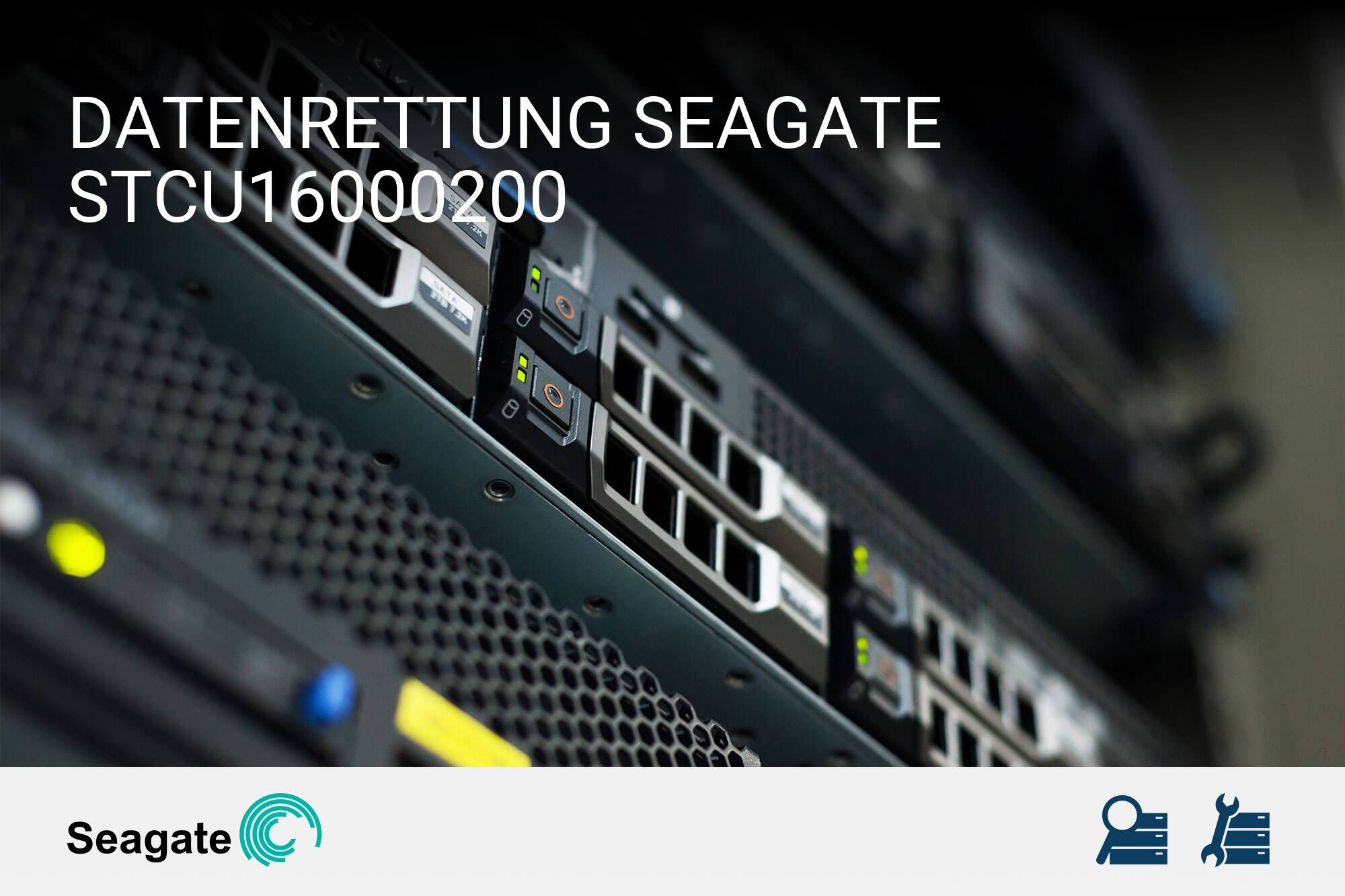 Seagate STCU16000200
