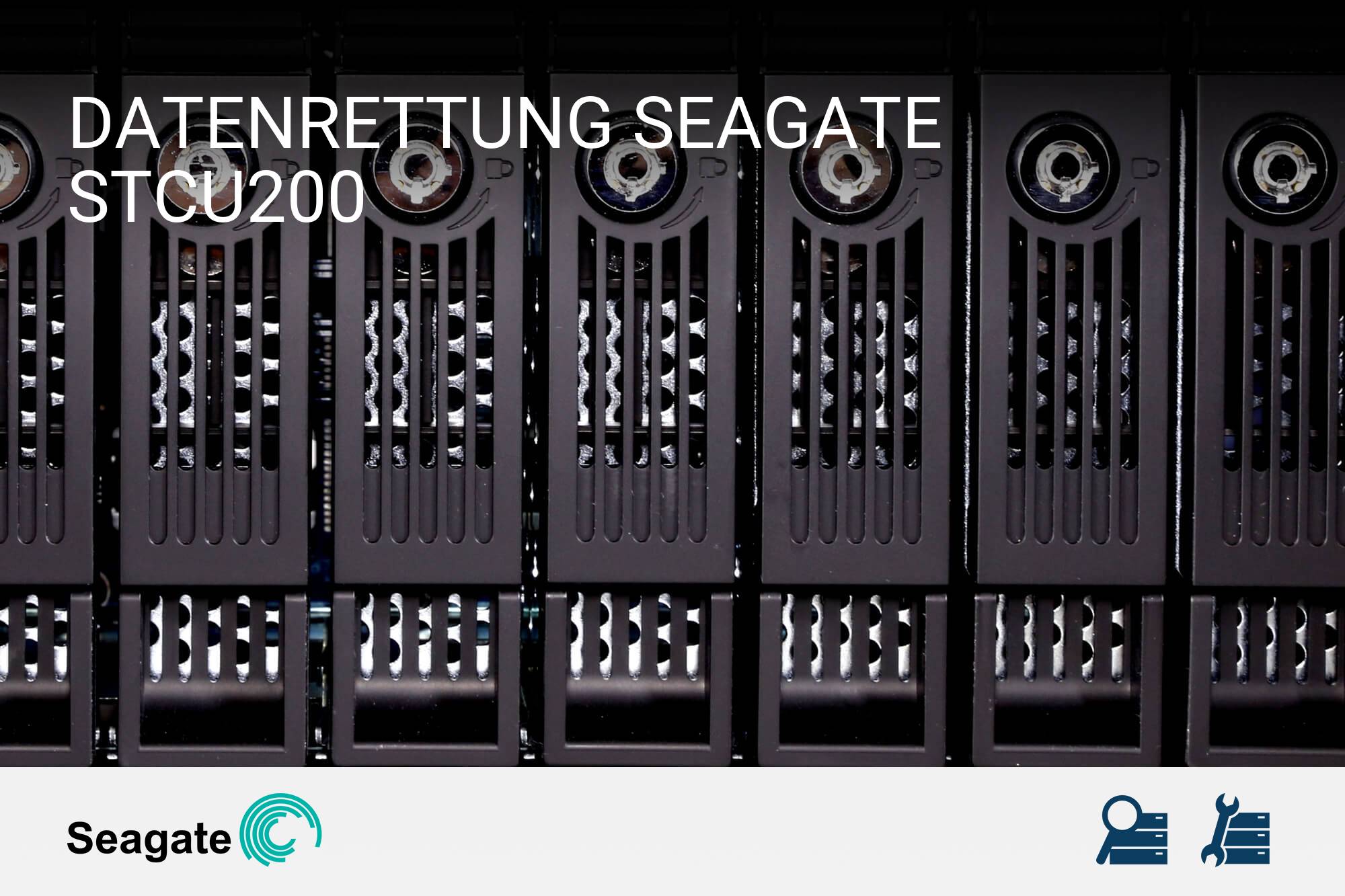 Seagate STCU200