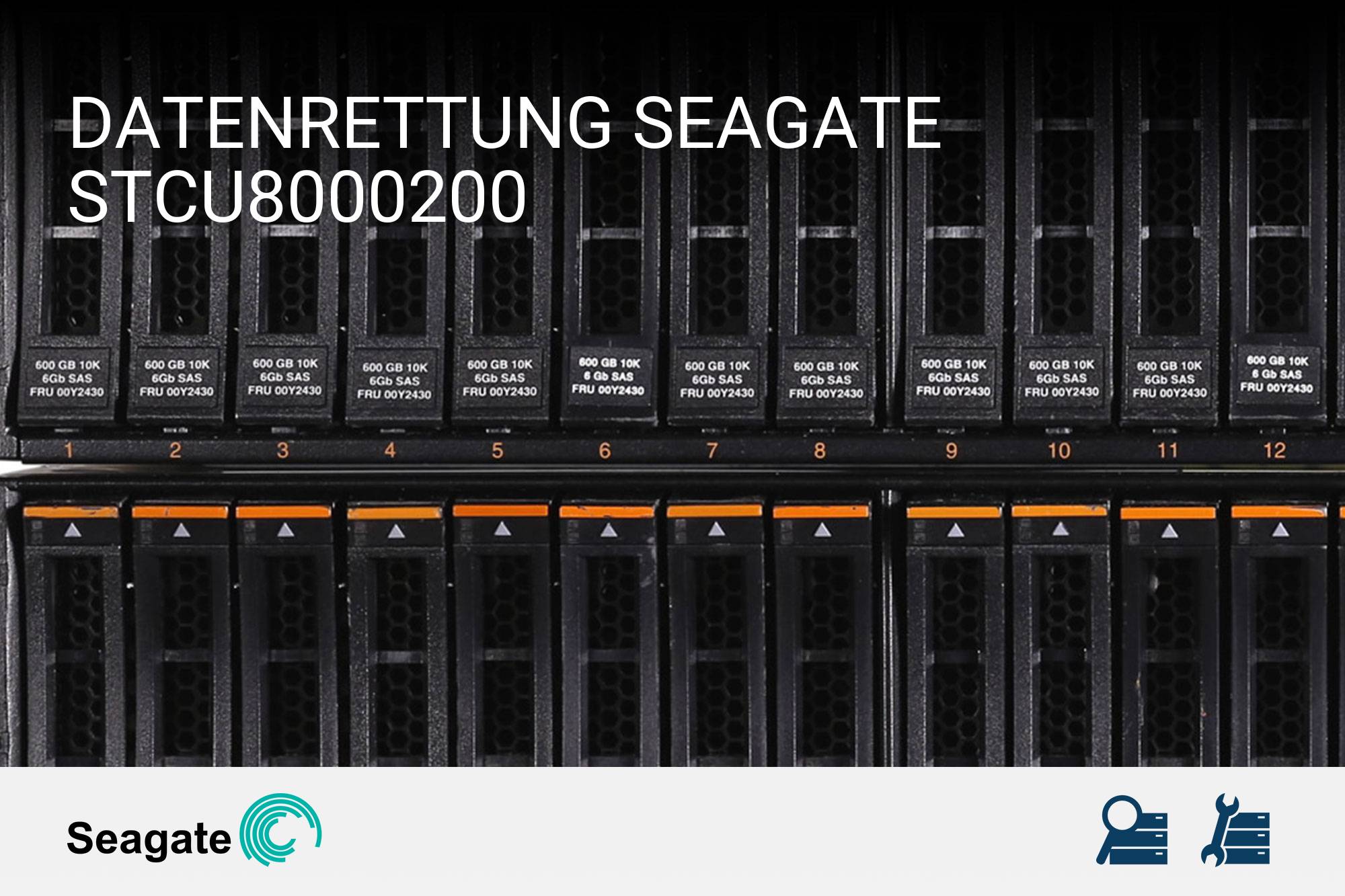 Seagate STCU8000200