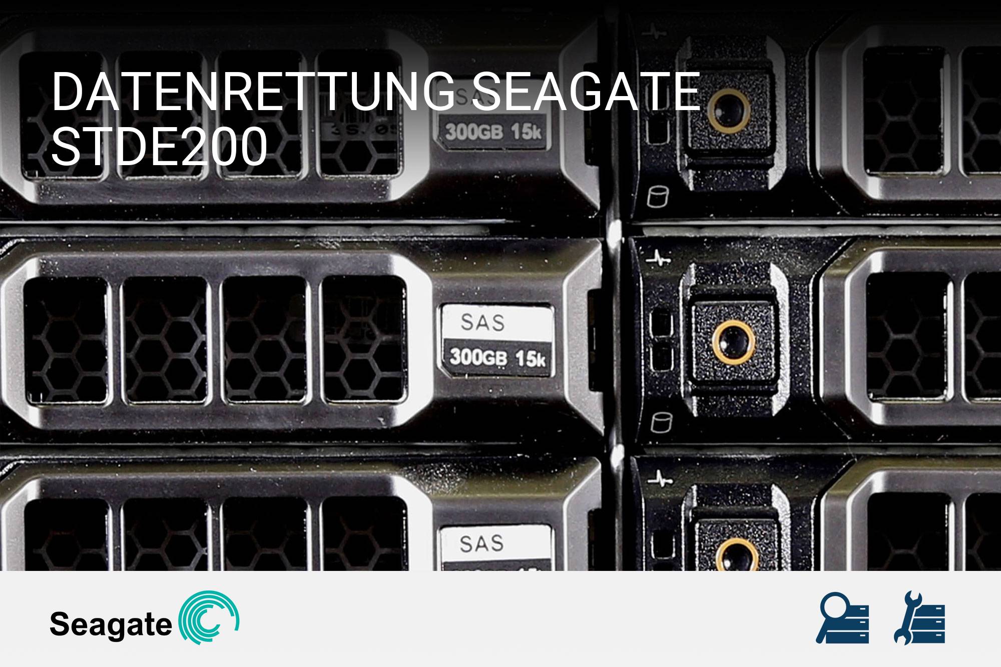 Seagate STDE200
