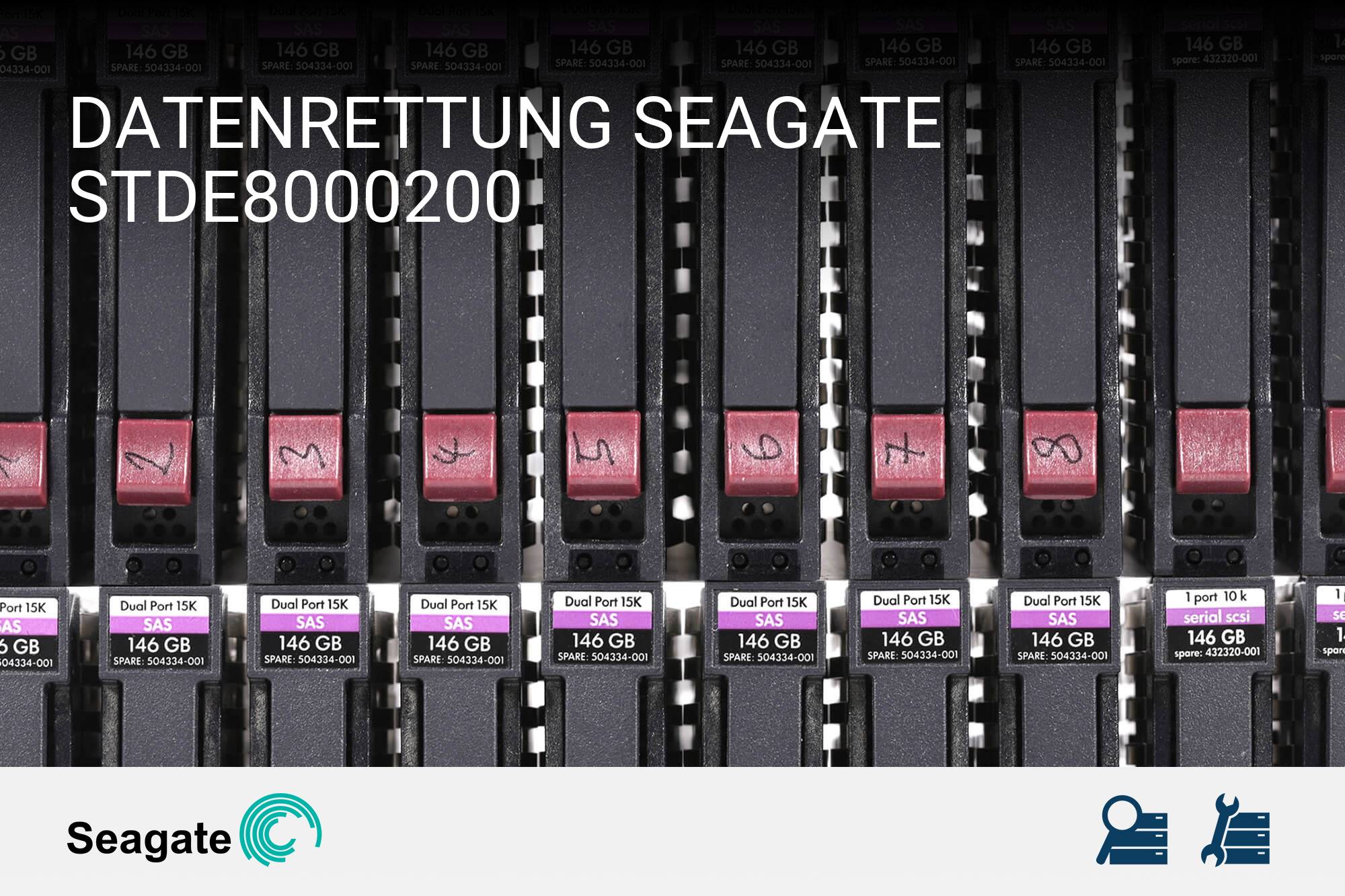 Seagate STDE8000200