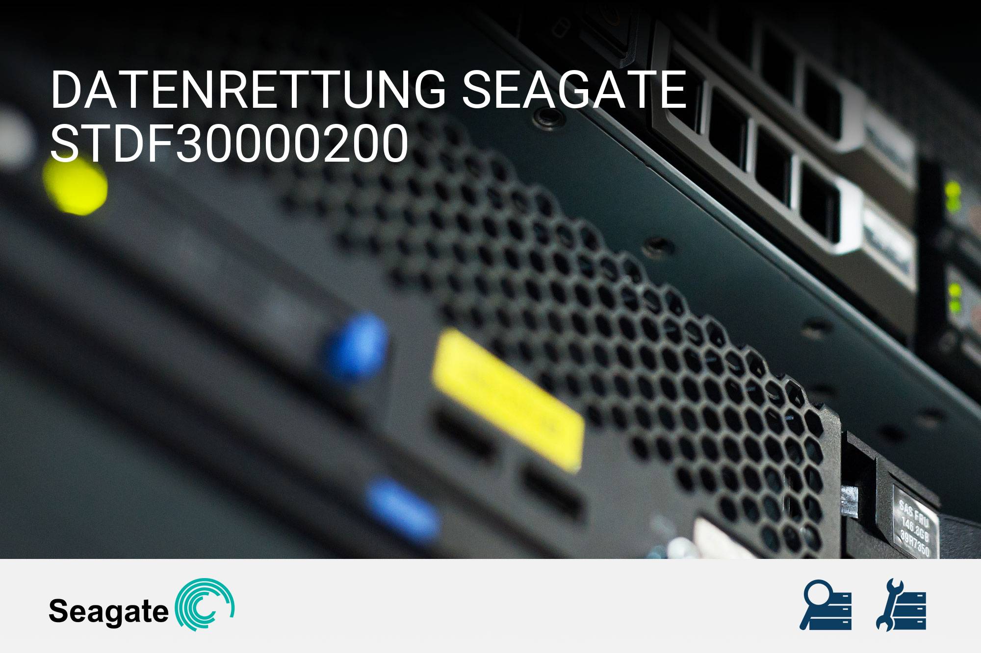 Seagate STDF30000200
