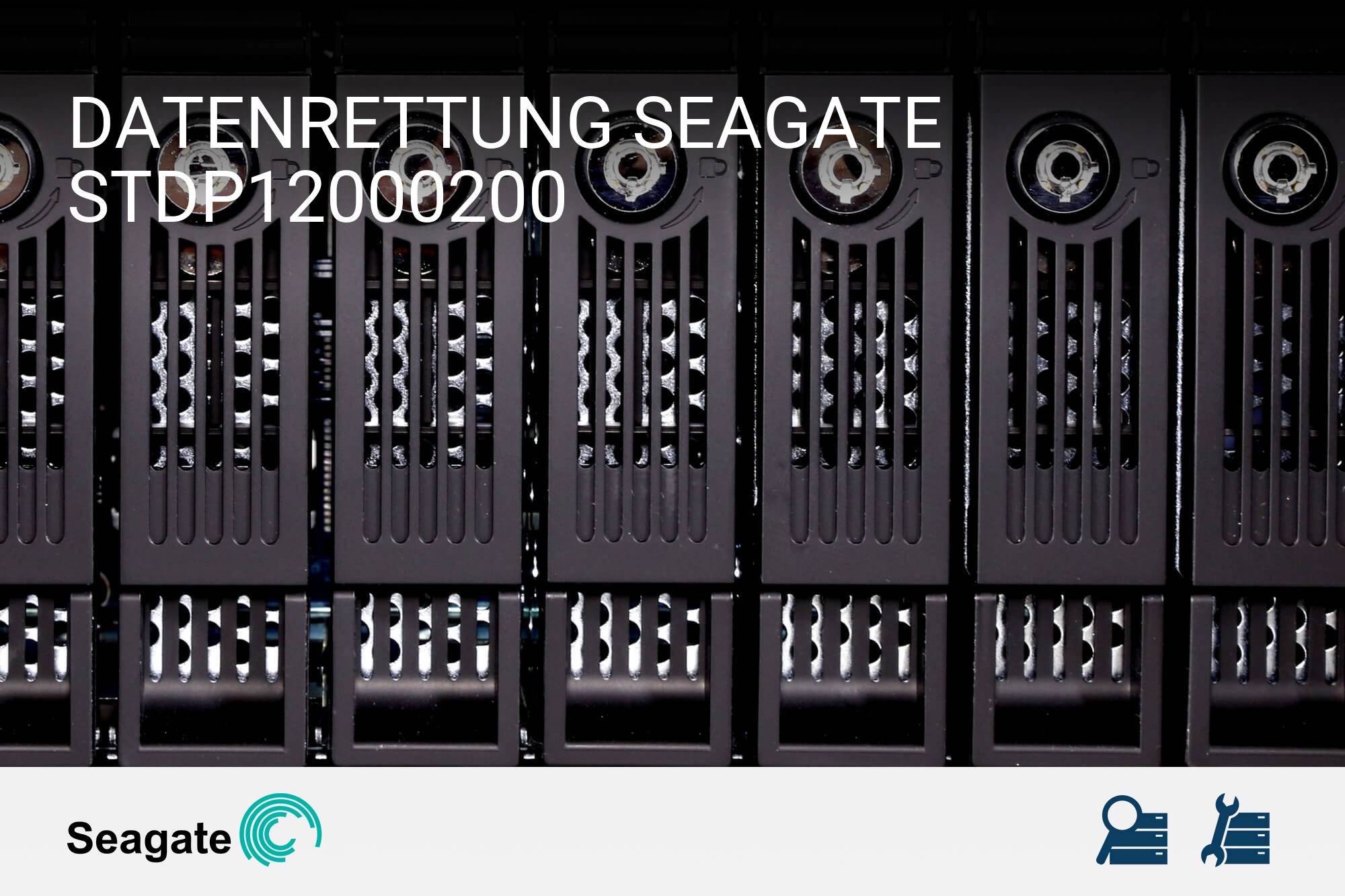 Seagate STDP12000200