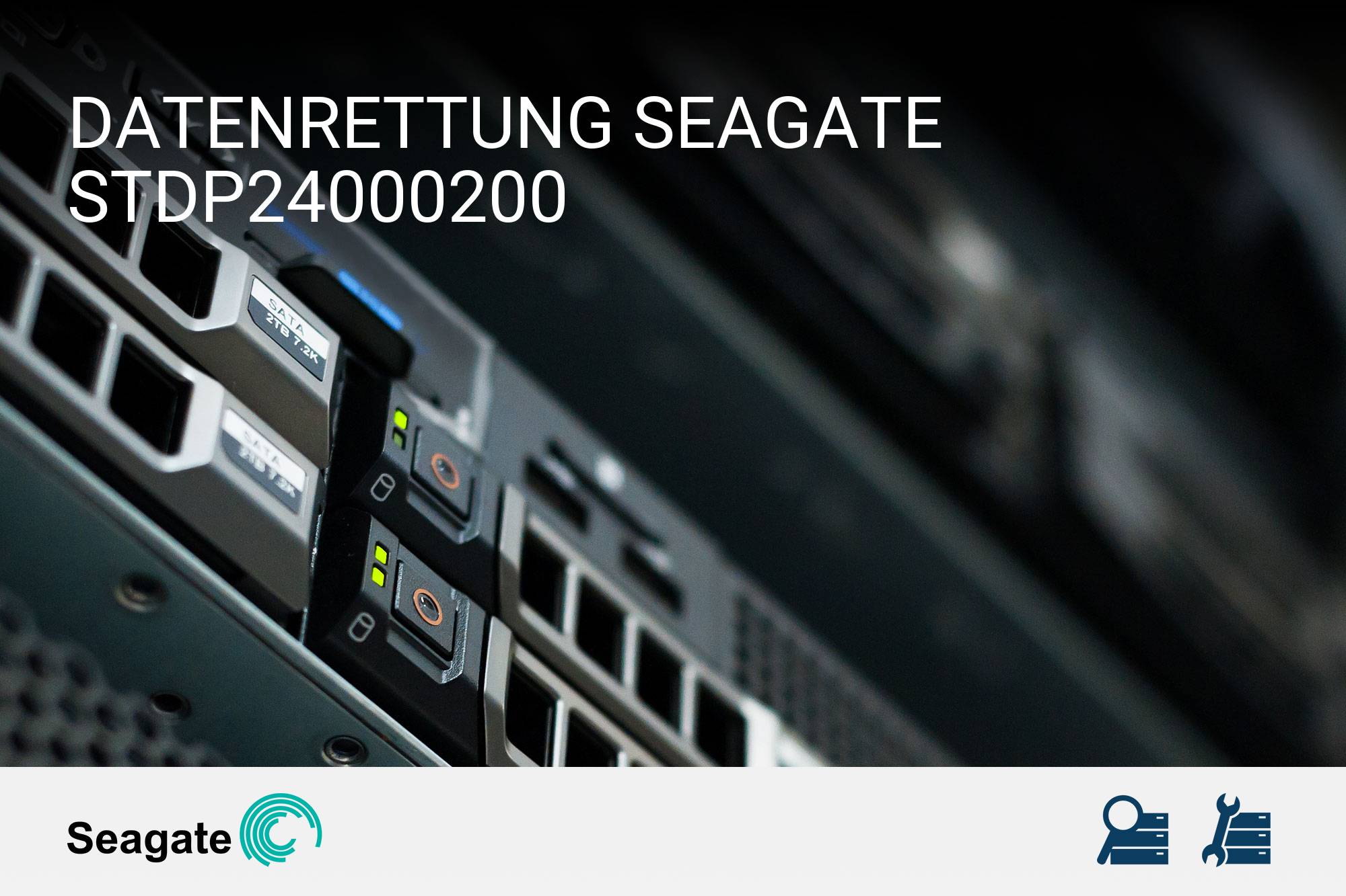 Seagate STDP24000200