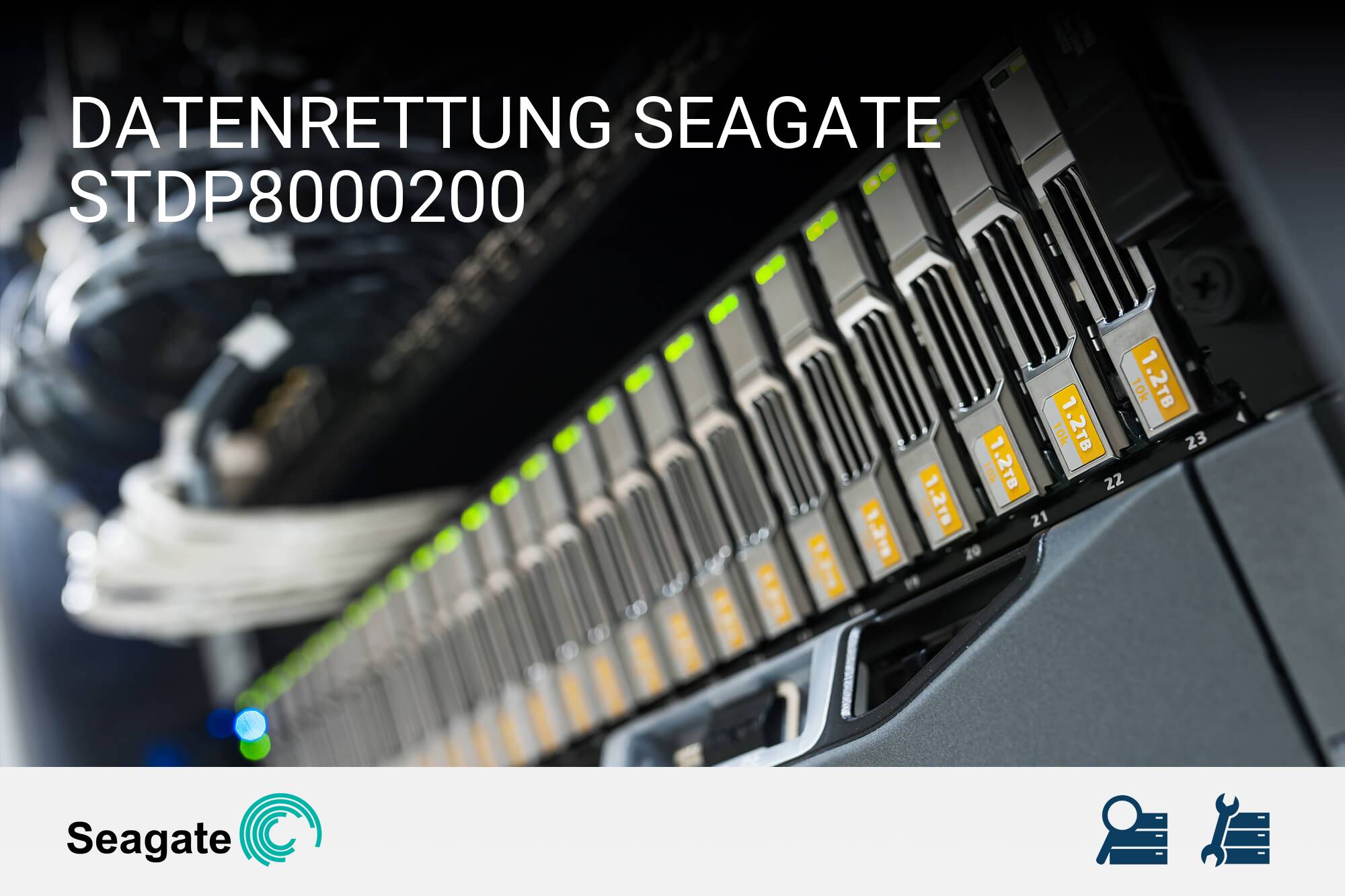 Seagate STDP8000200