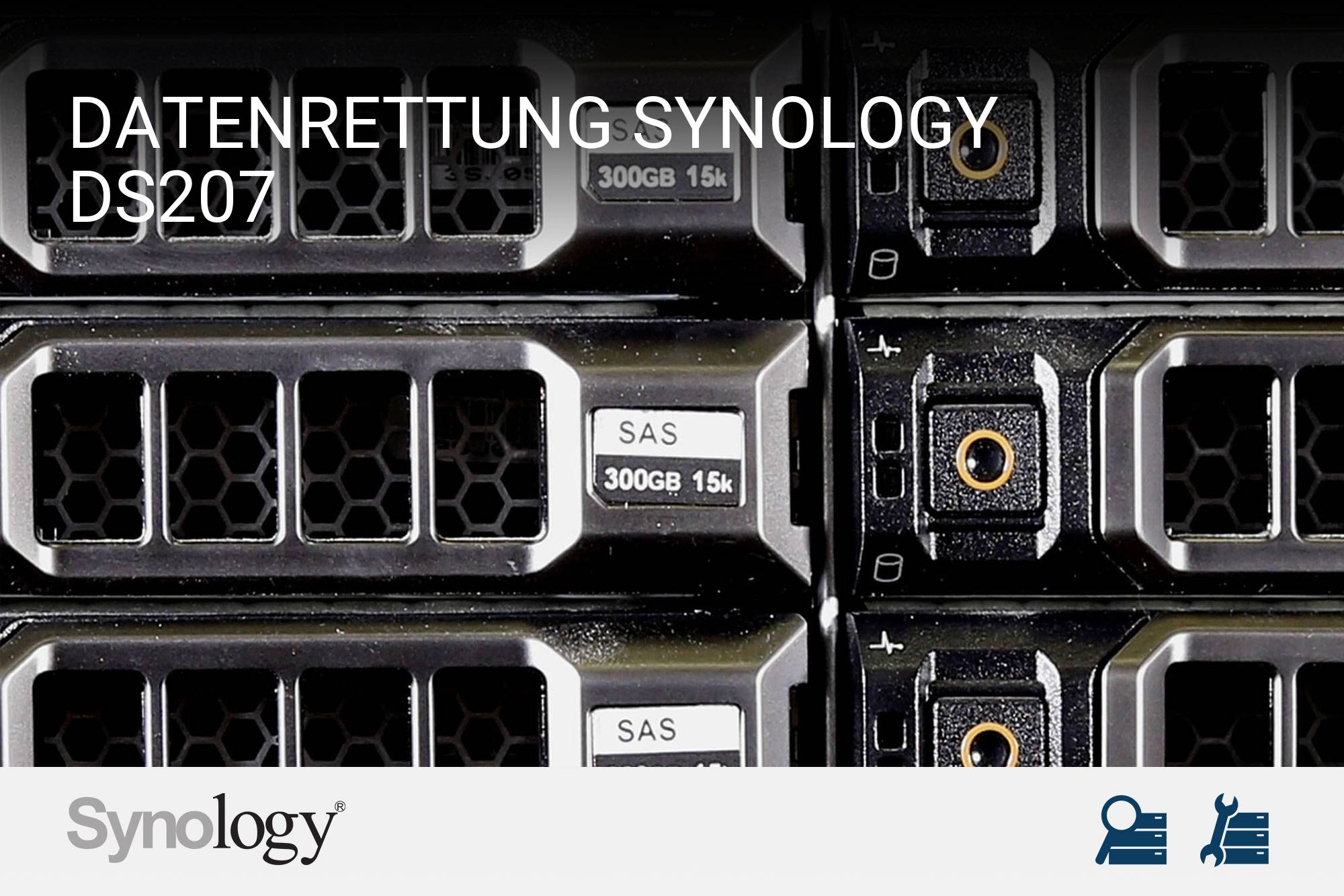 Synology DS207