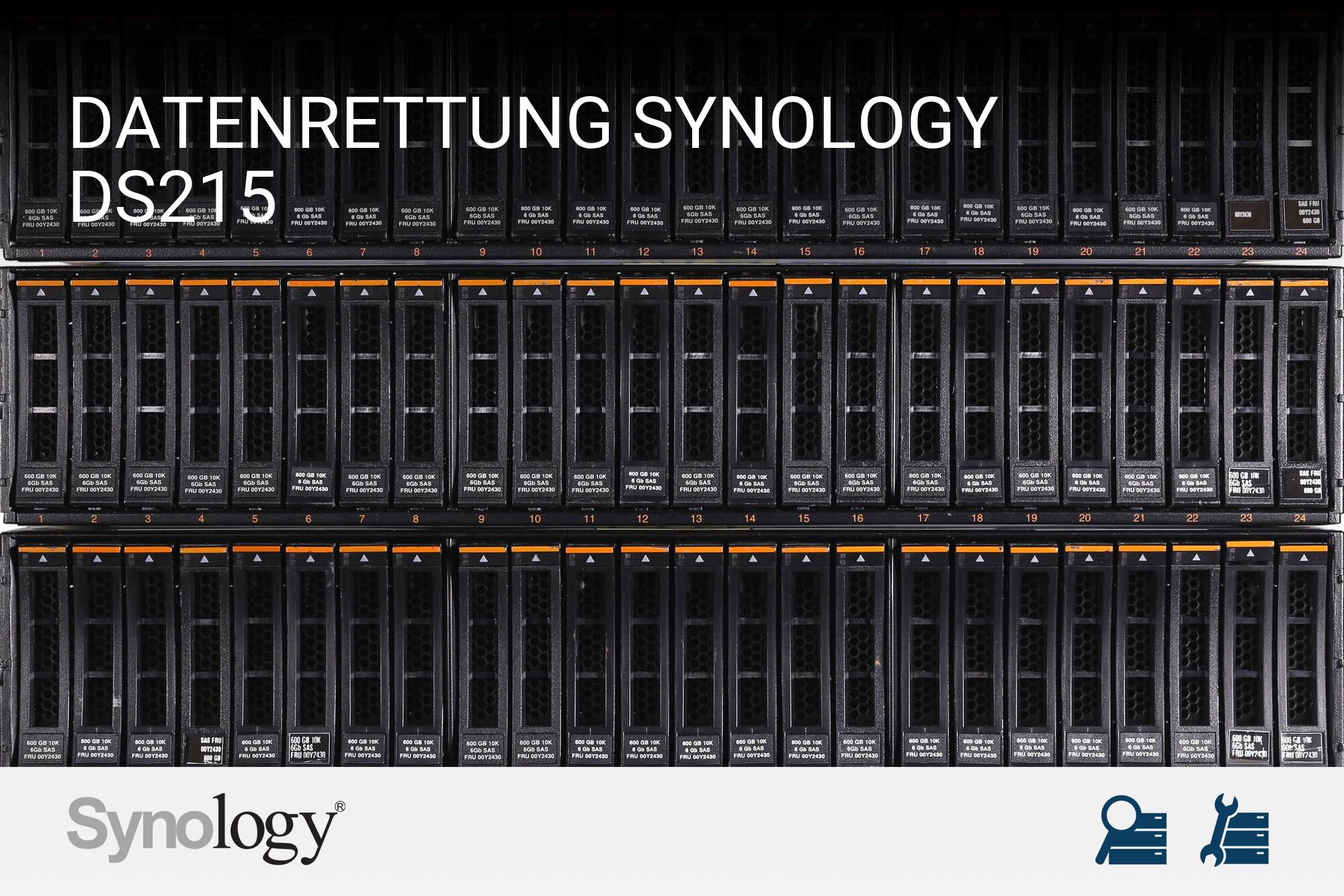 Synology DS215