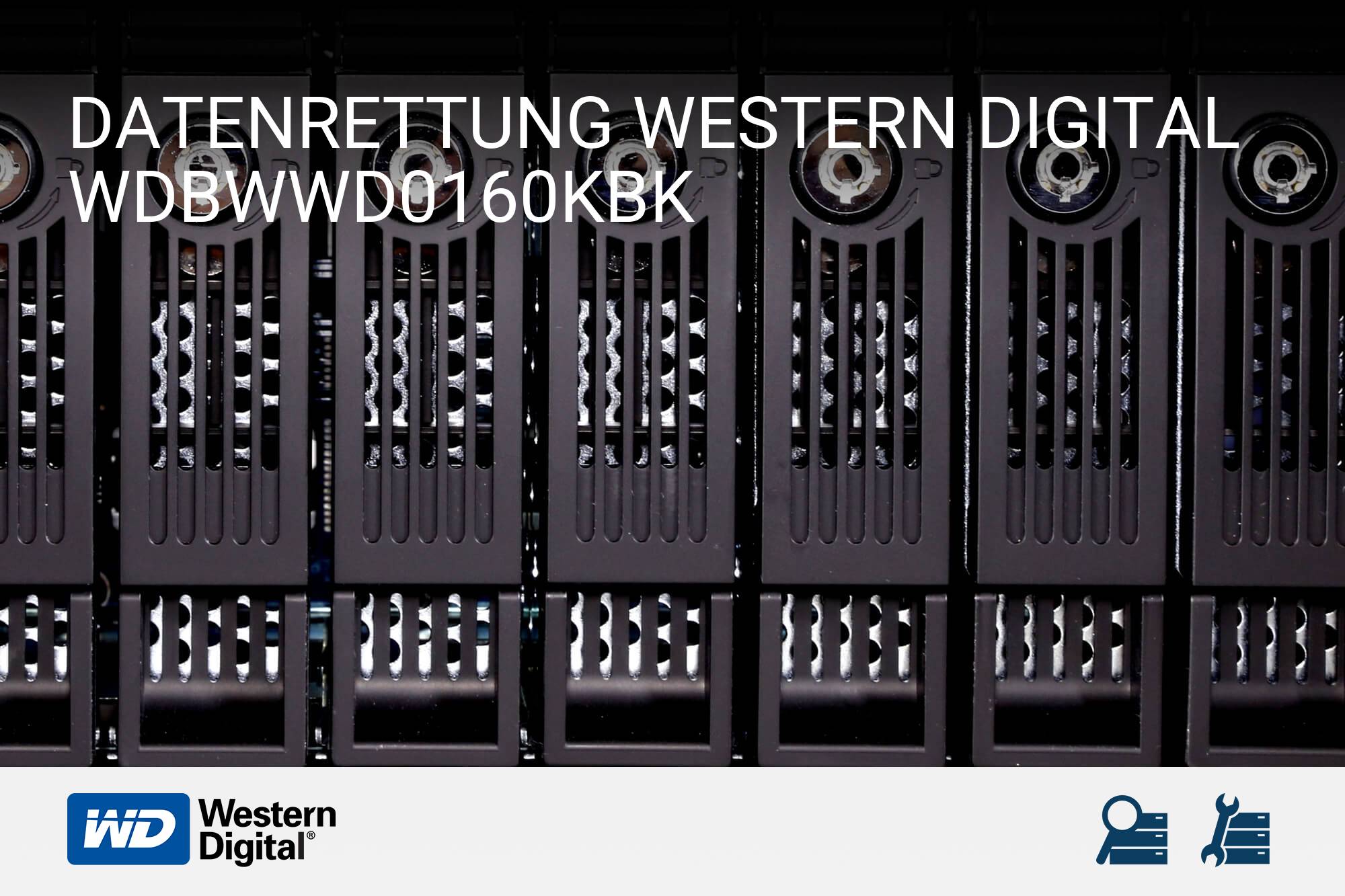 Western Digital WDBWWD0160KBK