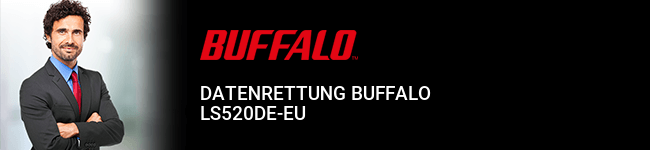 Datenrettung Buffalo LS520DE-EU