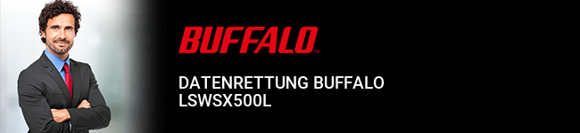 Datenrettung Buffalo LSWSX500L