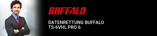 Datenrettung Buffalo TS-6VHL Pro 6