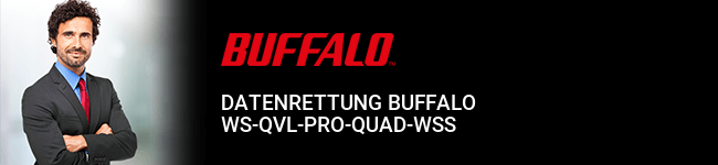 Datenrettung Buffalo WS-QVL-Pro-Quad-WSS