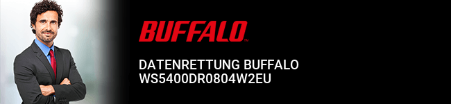 Datenrettung Buffalo WS5400DR0804W2EU