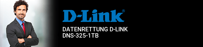 Datenrettung D-Link DNS-325-1TB