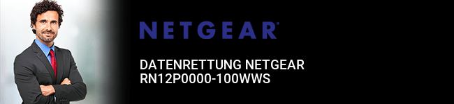Datenrettung Netgear RN12P0000-100WWS
