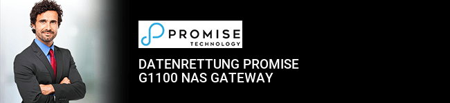 Datenrettung Promise G1100 NAS Gateway