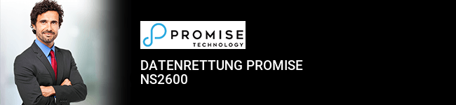 Datenrettung Promise NS2600