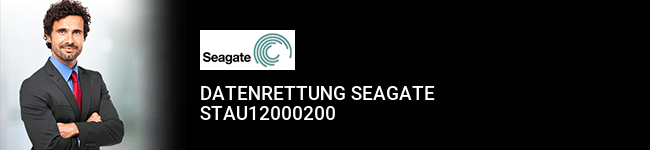 Datenrettung Seagate STAU12000200