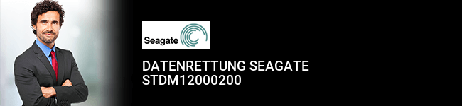 Datenrettung Seagate STDM12000200