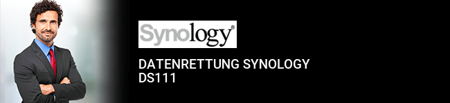 Datenrettung Synology DS111