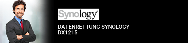 Datenrettung Synology DX1215