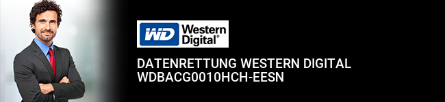 Datenrettung Western Digital WDBACG0010HCH-EESN
