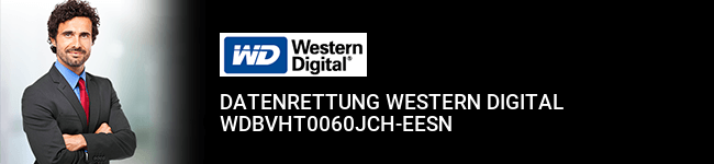 Datenrettung Western Digital WDBVHT0060JCH-EESN